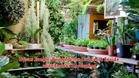  Urban Jungle: A Guide to Bringing Nature Indoors 探索城市叢林的綠意盎然與居家裝飾藝術